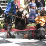 IMG_5250