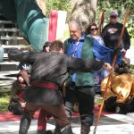 IMG_5251