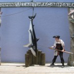 IMG_8668