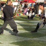 IMG_0194