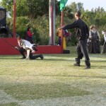 IMG_0314