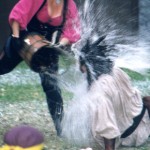 splash