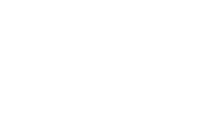 Florida Division of Arts & Culture